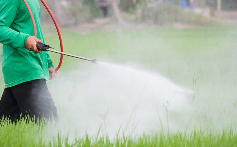 Генетическая восприимчивость к пестицидам повышает риск развития болезни Паркинсона