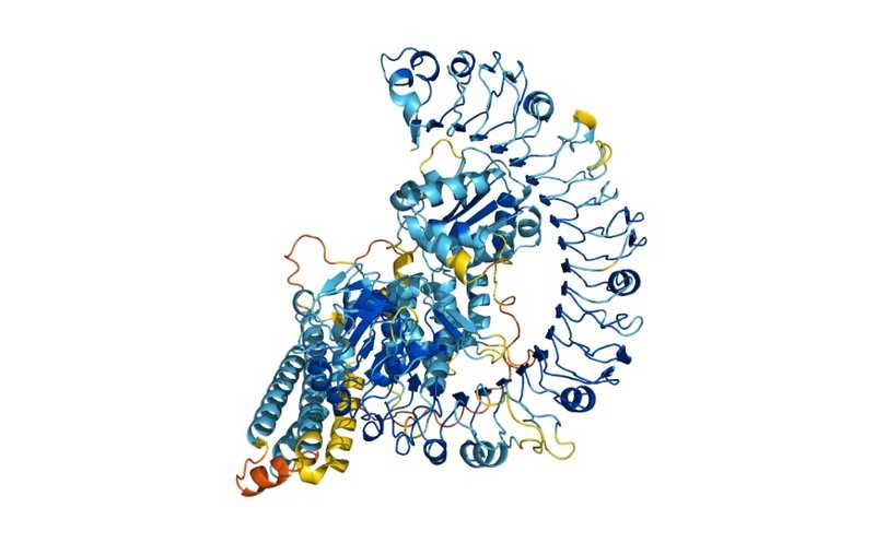 Новая версия AlphaFold еще точнее предсказывает структуры белков и их комплексов