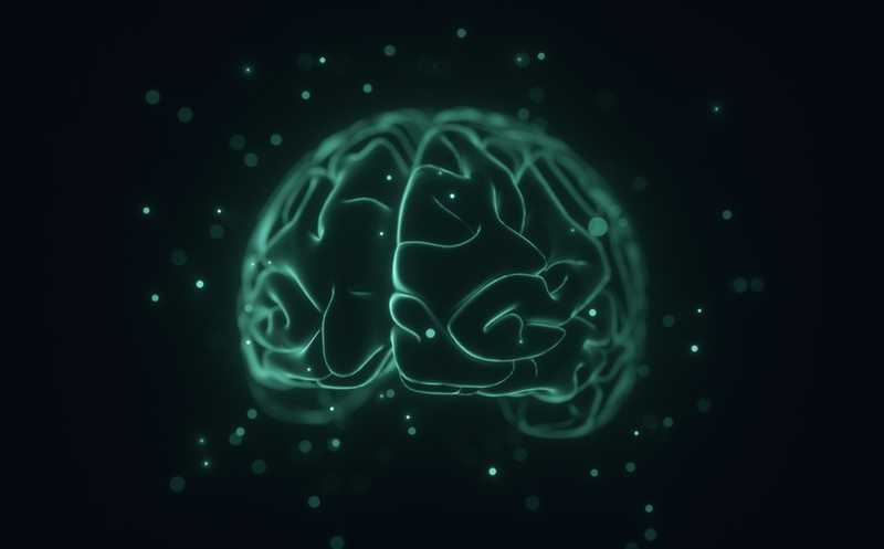 Свечение клеток мозга детектировали с помощью МРТ