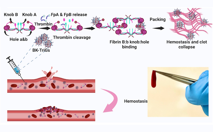 Микрогель улучшает свертываемость крови у младенцев