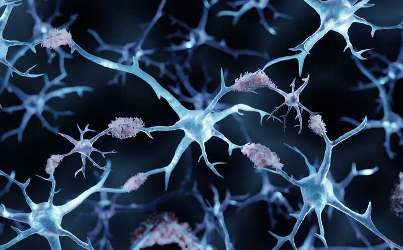 CAR-T клетки снижают амилоидную нагрузку в мышиной модели болезни Альцгеймера