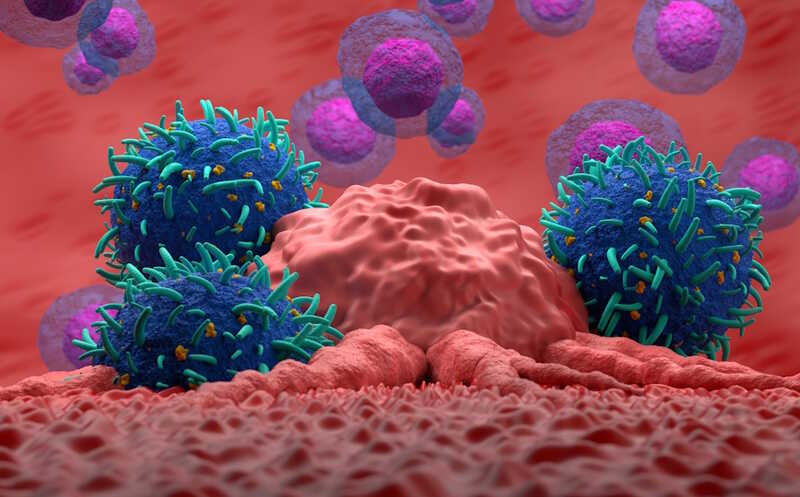 Раковые клетки посылают макрофагам микроРНК, чтобы стимулировать иммуносупрессию