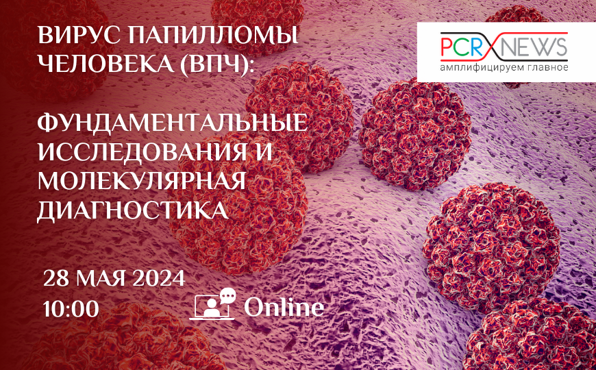 Вирус папилломы человека (ВПЧ): фундаментальные исследования и молекулярная диагностика