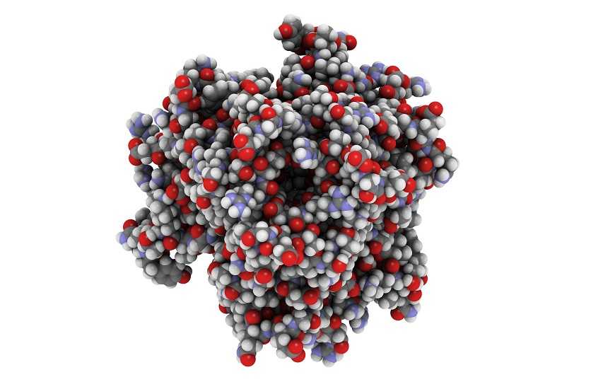 Инфликсимаб нарушает выработку антител к коронавирусу — PCR News