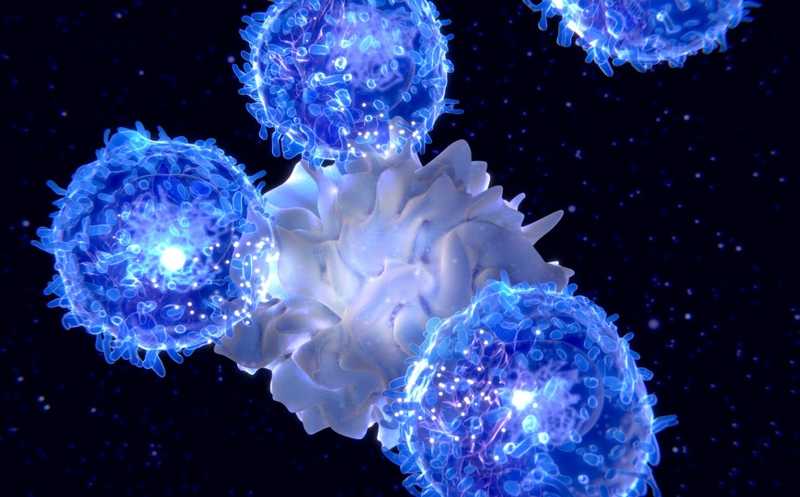 Синтетические пептиды усиливают иммунотерапию за счет активации врожденного иммунитета