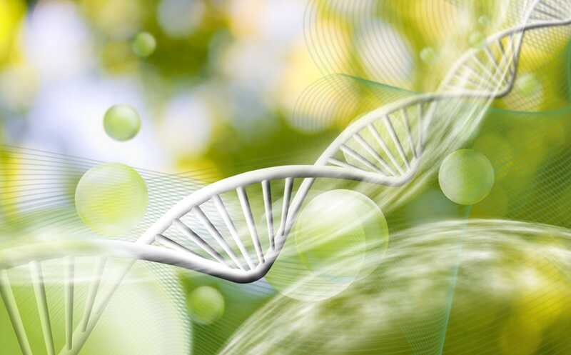 Переключение изоформ гена MeCP2 как новый подход к терапии синдрома Ретта