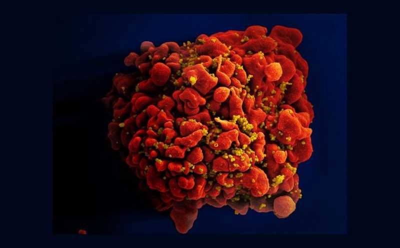 Кемеровода бір-екі адамға арналған секс