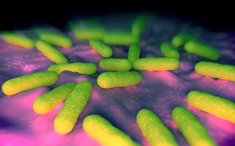 Олигоэлектролит уничтожает покоящиеся клетки нетуберкулезной микобактерии