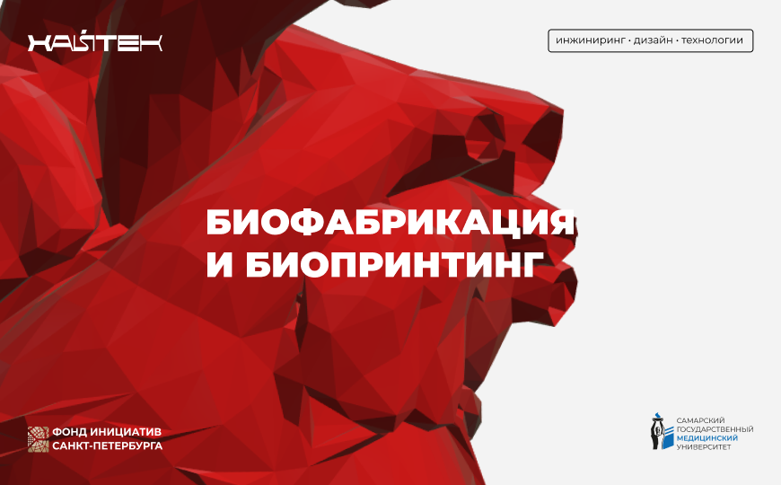 Научно-образовательная программа «Биофабрикация, биопринтинг и проектная деятельность»
