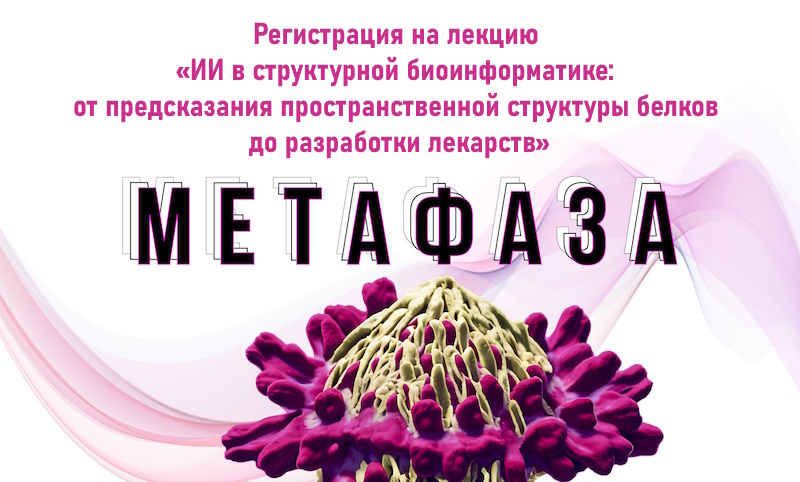 Метафаза Иванков