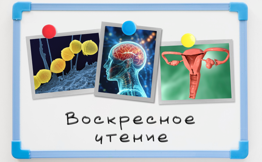 Химия репродуктивного поведения и другие новости недели