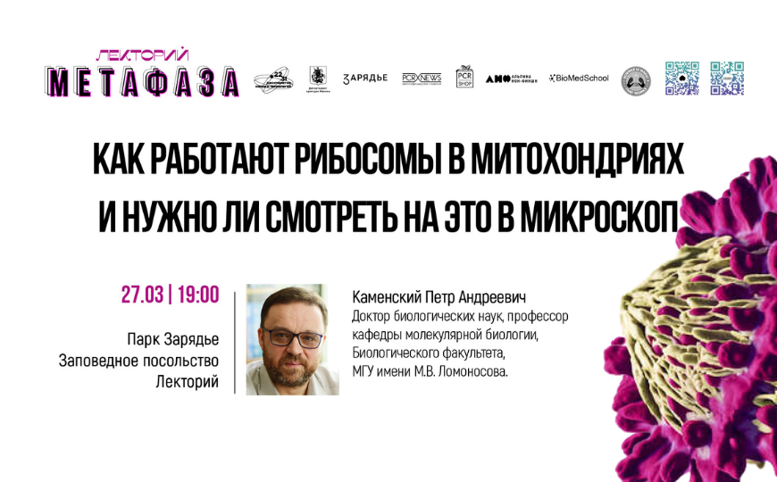 Лекция: «Как работают рибосомы в митохондриях и нужно ли смотреть на это в микроскоп»