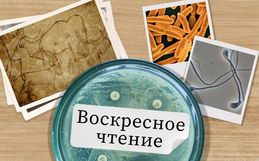 Аспирин против метастазирования опухолей и другие новости недели