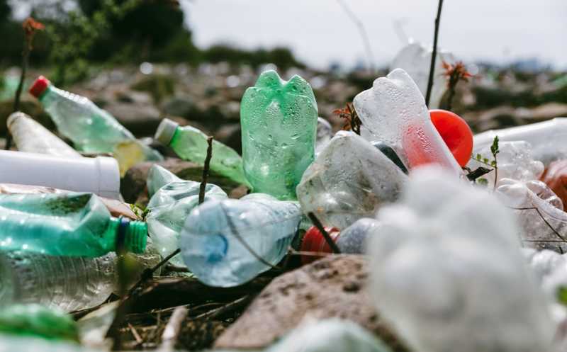 Бактерий научили перерабатывать пластик в полезные продукты