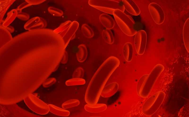 Новый препарат снижает вязкость крови при истинной полицитемии
