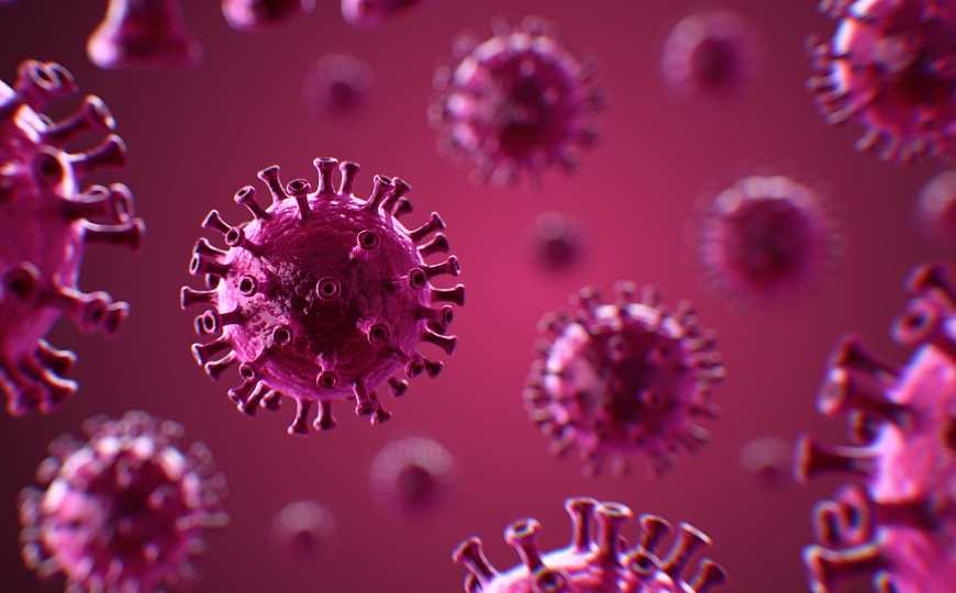 Система CRISPR-Cas13d поможет бороться с коронавирусами