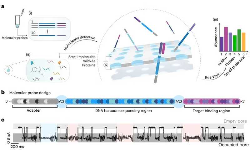 Нанопоровое секвенирование выявляет миРНК, белки и малые молекулы в сыворотке крови