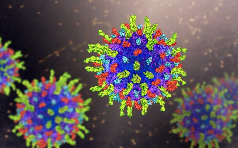 Вакцинация против опоясывающего лишая замедляет эпигенетическое и транскриптомное старение