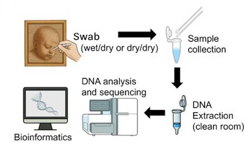 Метагеном «Святого младенца». Авторство наброска, приписываемого Леонардо да Винчи, проверили с помощью анализа ДНК