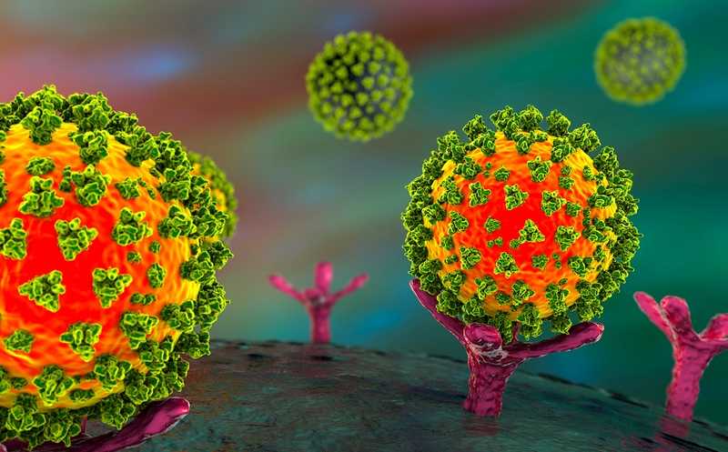 Связывание «кармана» коронавирусов с линолевой кислотой препятствует заражению