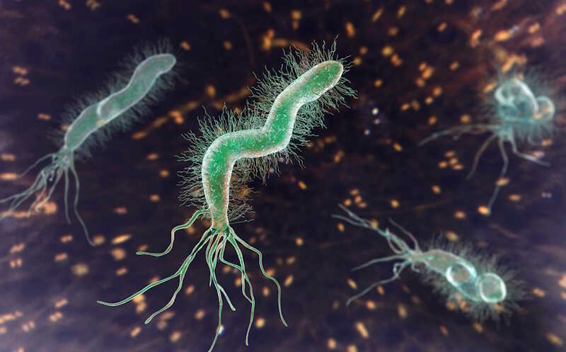 Немецкие ученые случайно усилили действие метронидазола против бактерии, вызывающей язвенную болезнь