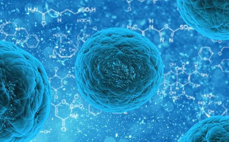 Вебинар «Клеточная биология: решения для культивирования и анализа клеток» пройдет 14 апреля