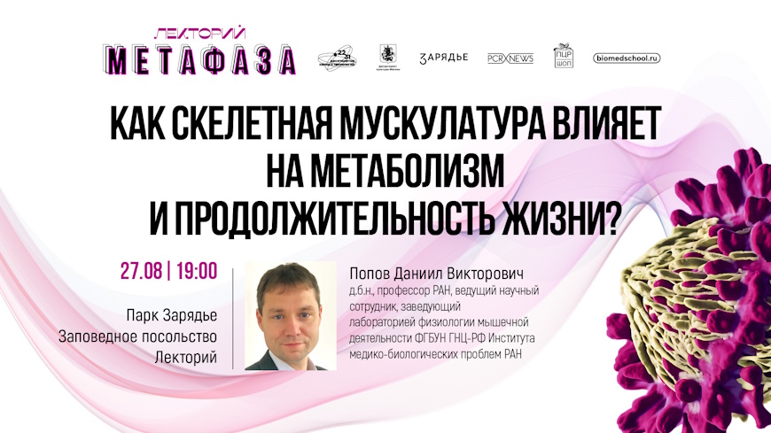 Лекция «Как скелетная мускулатура влияет на метаболизм и продолжительность жизни?»