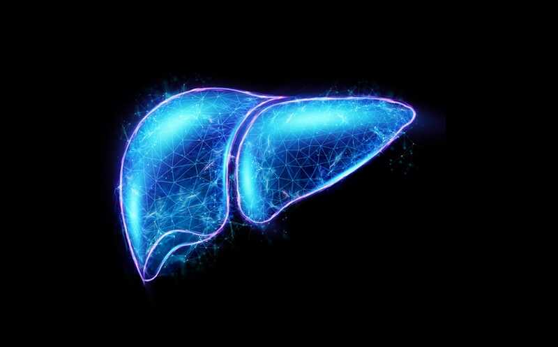 Белок запускает опухолеобразование и одновременно делает рак чувствительным к иммунотерапии