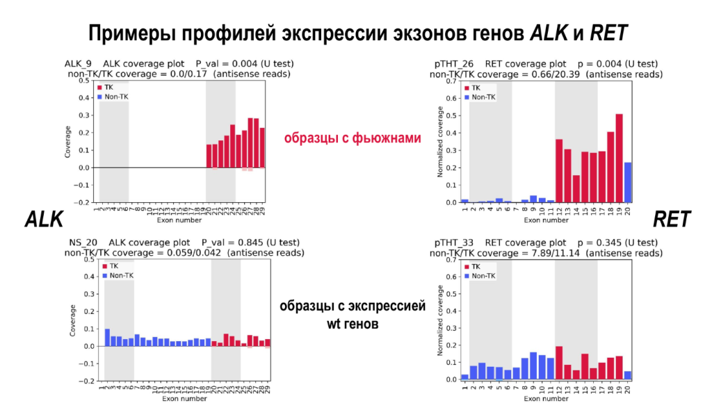 Screenshot 2025-12-16 142700.png