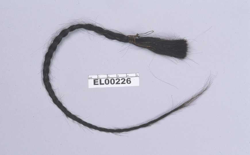 Lock of hair from Sitting Bull. Credit E. Willerslev.jpg