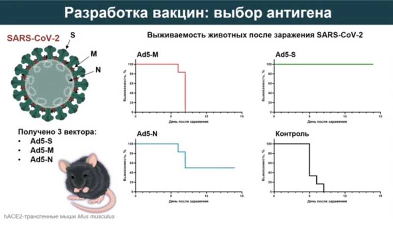 ВИЧ и резистентность к АРВ терапии