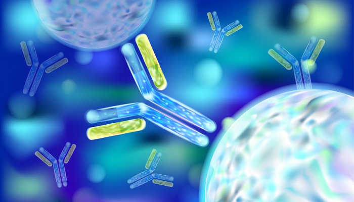 Выявлен механизм действия антитела против бетакоронавирусов — PCR News
