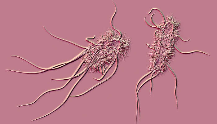 Ер адам жолдан жезөкше қызды көтеріп алды.