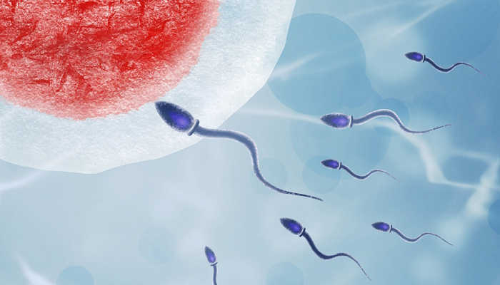 Ресей мүшесі